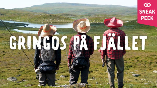 Gringos på Fjället: Sneak peek