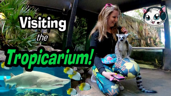 Vi besöker Tropicarium!