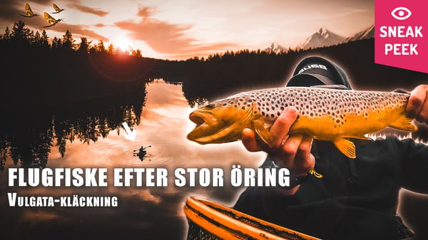 Flugfiske i flytring: Sneak peek